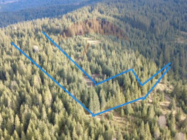 Teren 17,895mp Dorna-Arini / Prelungirea Cozănești