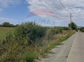 Teren intravilan industrial de v&acirc;nzare - 9505 mp - Tileagd