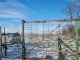 PROPRIETATE AGRICOLĂ PREMIUM &ndash; 5 HECTARE CU LIVADĂ DE NU