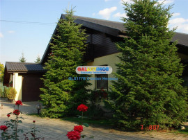 Otopeni Ana Aslan Str Valea Pasarii P 1 SU 340 mp teren 1500