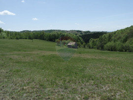 TEREN DE V&Acirc;NZARE &Icirc;N PRELUCA NOUA