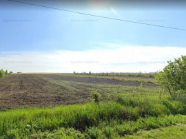 Teren Branesti 1016 mp - intre padure si A2 - Comision 0%