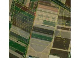 Teren intravilan 3400mp de v&acirc;nzare la S&acirc;ntion