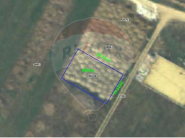 Teren 600mp Sanmartin / Padure