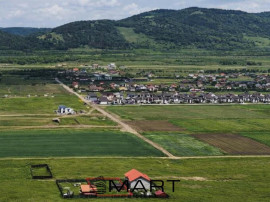 Teren intravilan &icirc;n S&acirc;npetru &ndash; 515 mp