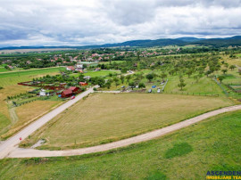 3.800mp recomandat:investitie,rezidenta vacanta,domeniu priv