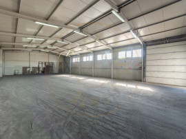 Hale & Birouri Mărăcineni - 1.294 mp - Deschidere la DN