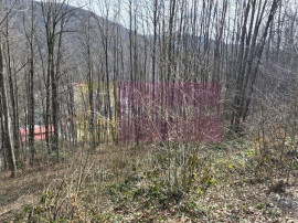 Tere intravilan de vanzare in Sinaia