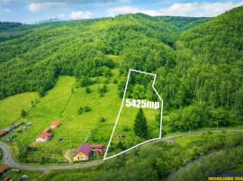 Teren la poalele padurii,Buzaiel,Vama Buzaului,DJ,constructi