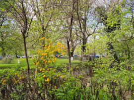 Dr. Taberei - Afi Cotroceni | Ap. 2 camere | Mobilat |Balcon Generos