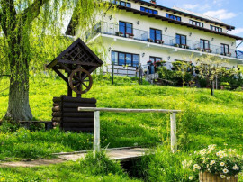 Pensiune cu priveliste fabuloasa, zona boema, Bran, Brasov.