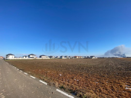 Dragomiresti Vale - 6500 mp - ideal dezvoltare rezidentiala