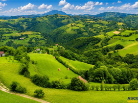 FILM! Cu view panoramic la 360 grade, teren 10.335 mp, Poian