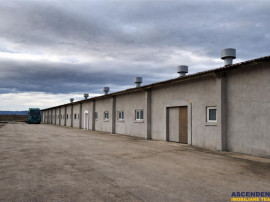 Hala industriala versatila,spatii cazare, platforma betonata