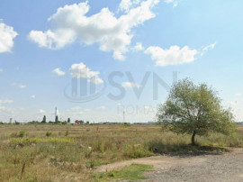 Teren Pipera I 9120MP