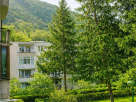 Apartament 2 camere,luminos,incadrat de liniste si verdele n