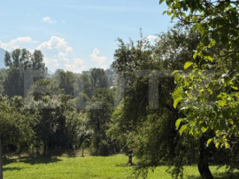 Pensiune de 11 camere, 650 mp, zona Sohodol-Bran