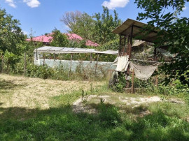 Casa si teren 3000 mp Naipu Giurgiu