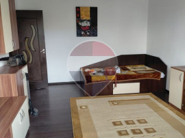 Apartament cu 1 camera de &icirc;nchiriat &icirc;n zona Vlaicu