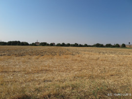 Teren intravilan - Zona Aradul Nou