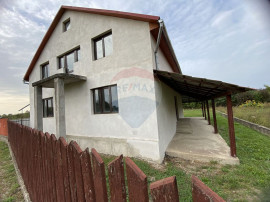 Casă compusă din 6 camere în orașul Sebiș - S.C. 220mp