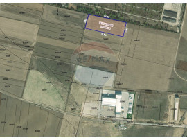 Teren industrial 11950 mp de vânzare, în zona Borș