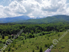 Teren extravilan de 800 mp in Avrig zona Valea Avrigului
