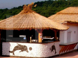 Teren, 3800mp, Nord-Est