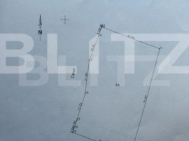 Teren extravilan, 2989 mp, situat in extravilanul Plopeni