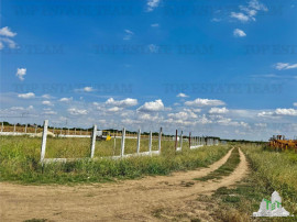 Teren 64 de parcele de / Teren de investitie / Frumusani /