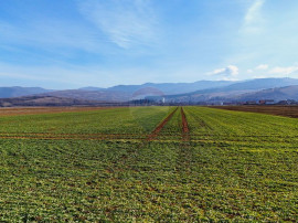 Teren extravilan | 14,600mp | Tărlungeni