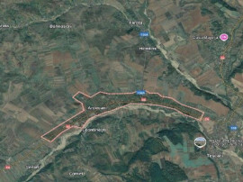 Teren extravilan pasune Ardeoani, ID: R2404618