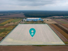 Teren extravilan 5 hectare ( zonă industrială ) Șag