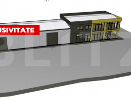 Cladire de birouri + 3 Hale, teren 4300 mp, Sebes