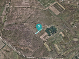 Teren extravilan de 10.000 mp