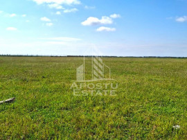 Teren Intravilan cu PUZ, ideala pentru Dezvoltatori