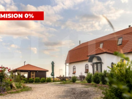 Conac de v&acirc;nzare 7 camere cu bai proprii, cramă, ciubăr ?
