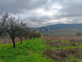 Aroneanu - Dorobant TEREN 46000mp PUZ realizat 59 de case la