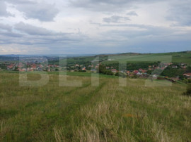 Teren extravilan 1249 mp in Copaceni! Oportunitate investiti