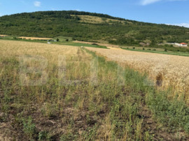 Teren intravin 2000 mp in Soimus