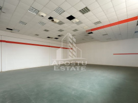 Hala pentru depozitare sau productie, 435 mp, Calea Sagului