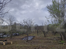 Teren intravilan Viisoara cu panorama asupra orasului. 3000