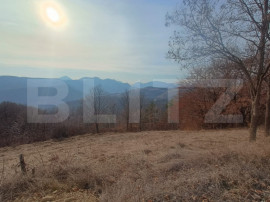 Teren extravilan, 12000 mp, curent com. Ramet