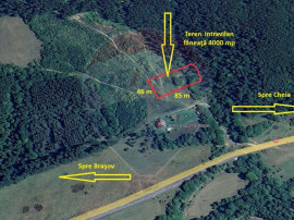 Teren intravilan, 4003 mp, Săcele - Babarunca