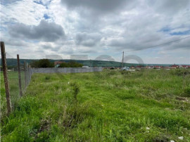 RECO teren de in zona Betfia