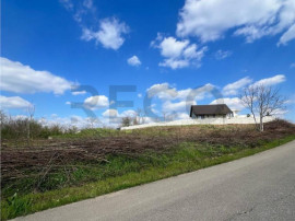 RECO teren de in zona Paleu