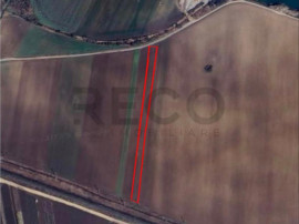 RECO Teren extravilan 2700mp Bors