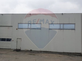 Hala de inchiriat/Slatina-Orasul de Jos