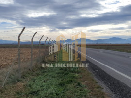 Teren intravilan industrial DN 13 Calea Feldioarei Brasov