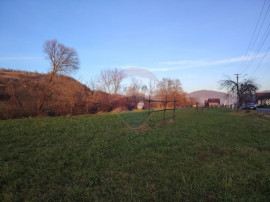 COMISION 0% Teren intravilan de vanzare in Barsana (26 ARI)